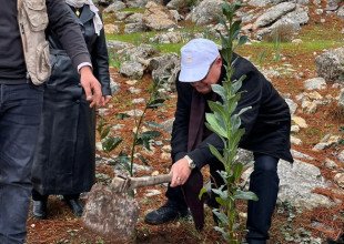 تخضير بلادي