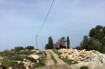 خط الضغط المنخفض لمنطقة خلة العملة