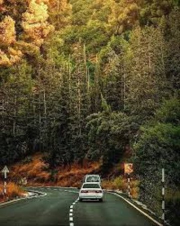 طريق واد القف